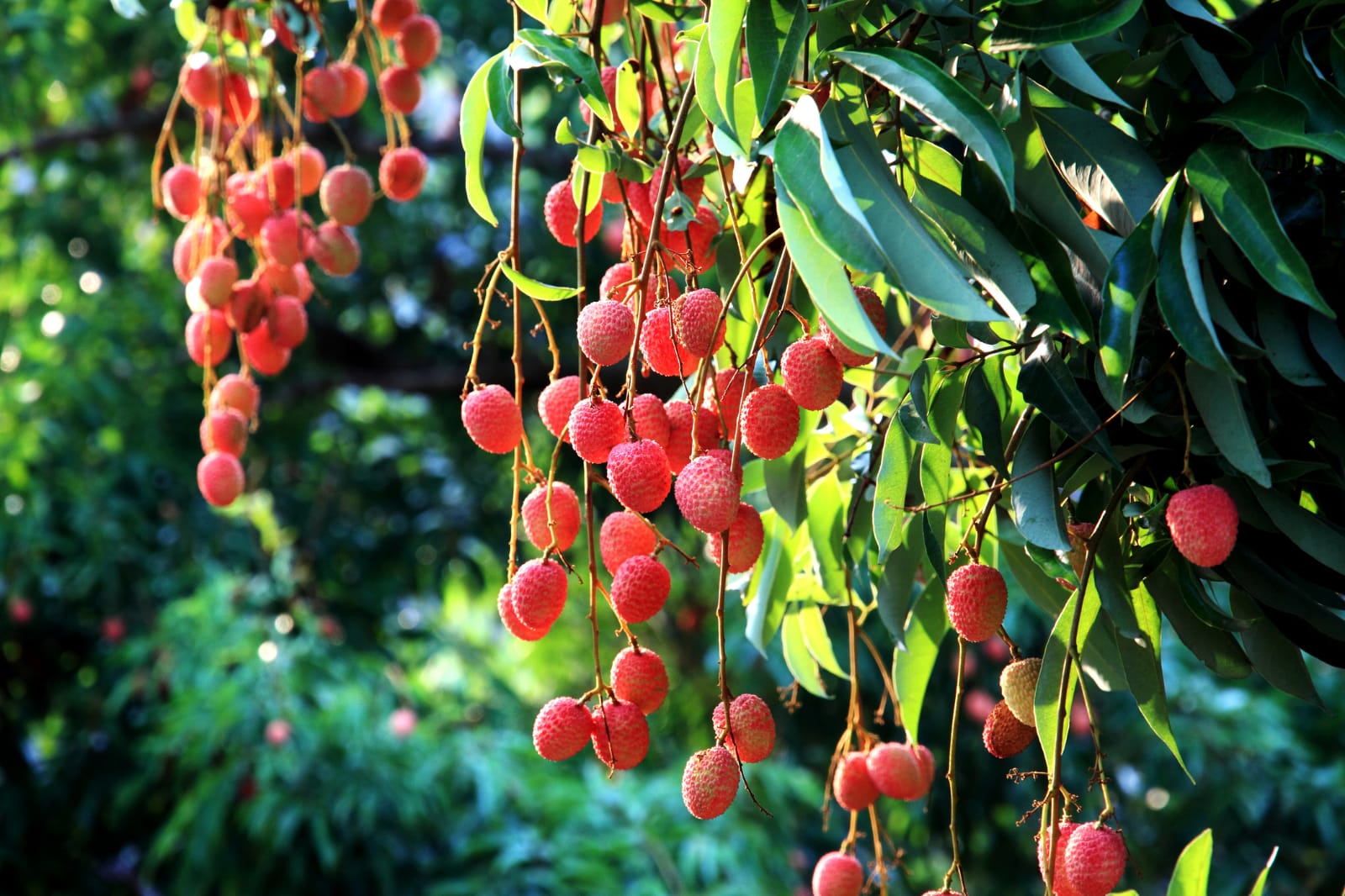 Imagem do WhatsApp de 2023-06-22 à(s) 22.02.15.jpg