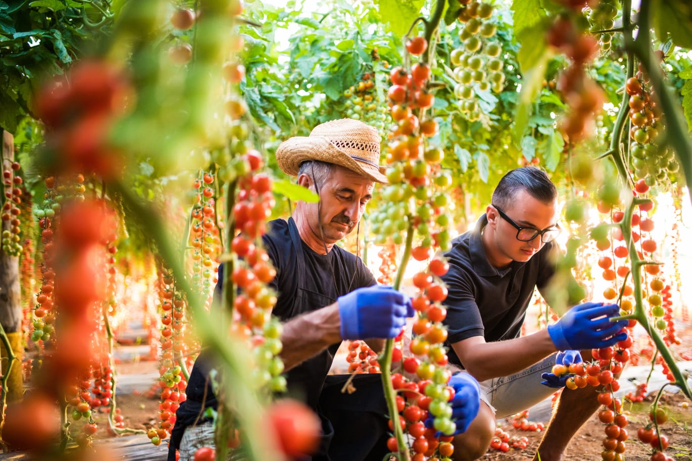 Imagem do WhatsApp de 2023-06-22 à(s) 20.55.29.jpg